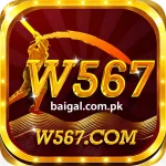 W567 Game
