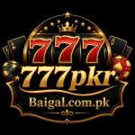 https://baigal.com.pk/